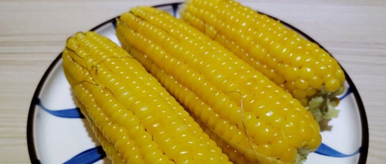 笨玉米，一点儿也不笨