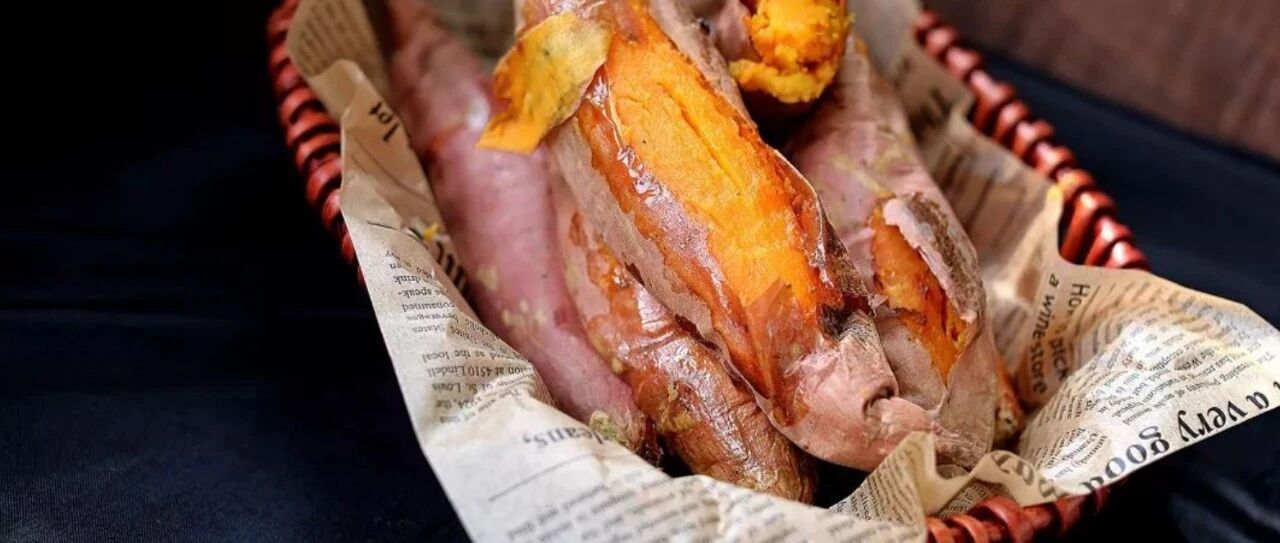 晚安 | 红薯与紫芽，远插墙四周。且放幽兰春，莫争霜菊秋