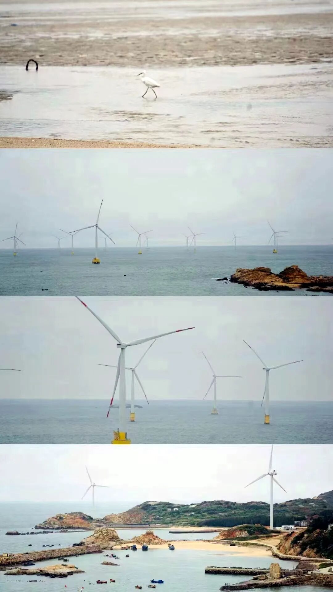 听海的声音2024星际互动平潭岛四日游团建活动完美收官