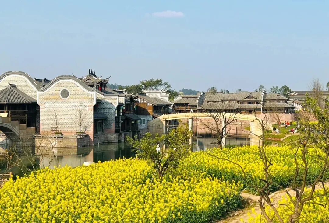 华采堂中国李庄月亮田全新亮相重温千年历史风华
