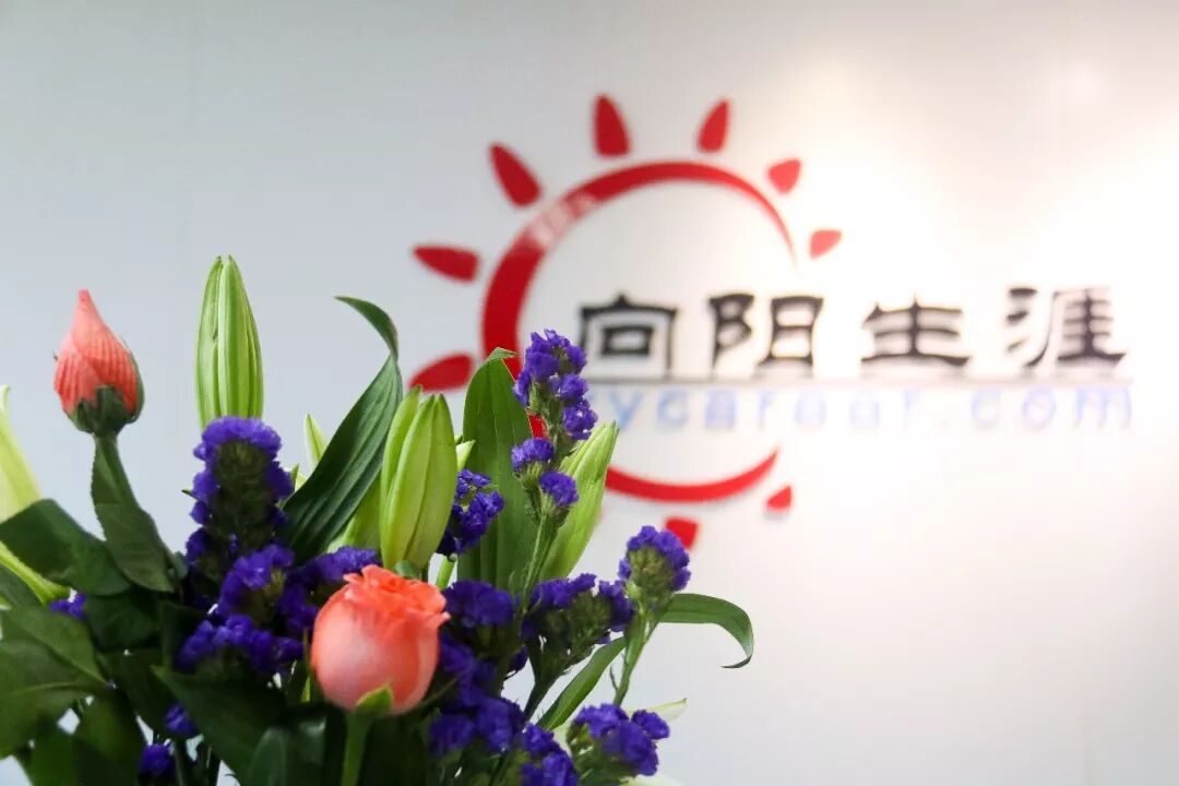 简短的职业规划怎么写_简短职业规划50字_简短的个人职业规划100字