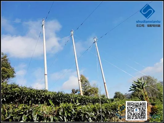 10kV 架空配电线路基本组成及杆上设备图文详解 10kV 架空配电线路基本组成及杆上设备图文详解