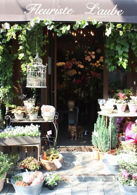 这7类人，就别开花店了