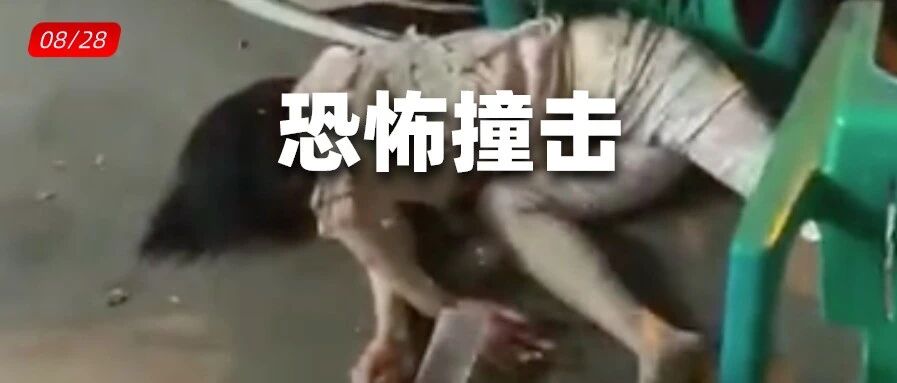 这车速！路边吃宵夜，一桌五人三人飞了