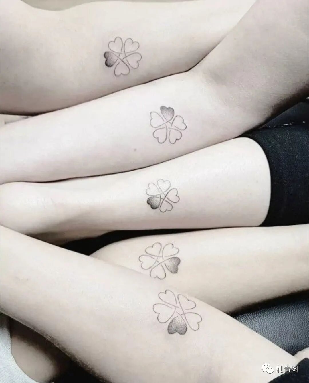 纹身图案四叶草纹身幸运草纹身女生纹身小清新系列纹身纹身手稿 刺青图 微信公众号文章阅读 Wemp