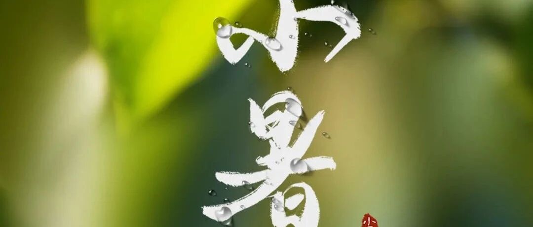 今日小暑|暑天热易上火，吃什么怎么吃？运动与作息还要注意这几点