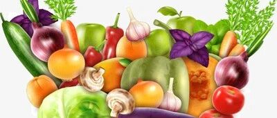 “慧”吃蔬果美，营养康健乐！