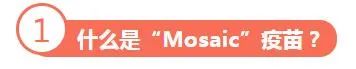 “Mosaic”疫苗——艾滋病疫苗研究新希望