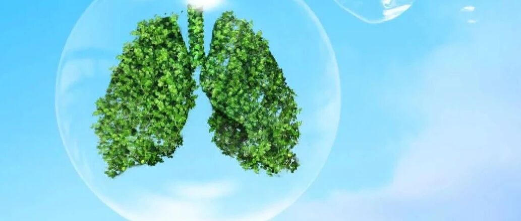 慢阻肺患者自我管理手册（上）