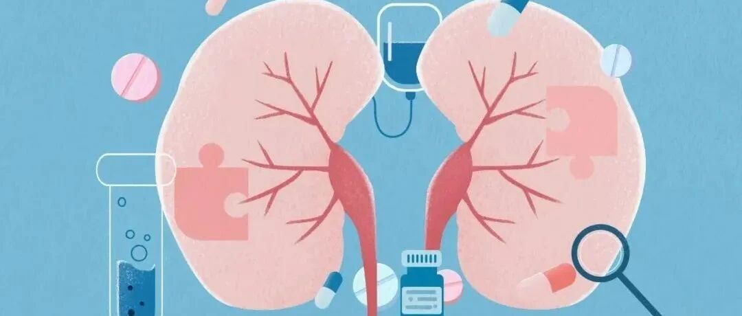 世界肾脏日 | 哪些不良习惯会让你的肾受伤