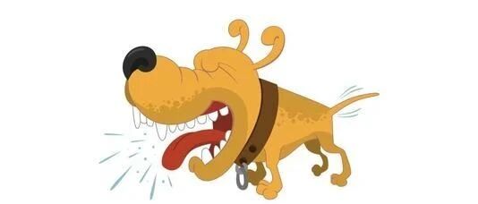 科学预防狂犬病，保护生命健康