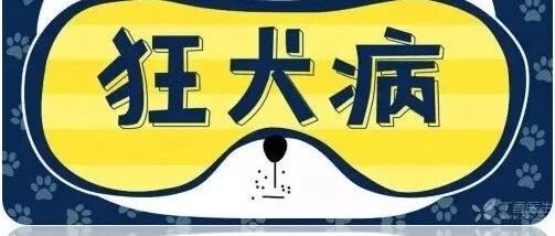 不可小瞧的“狂犬病”