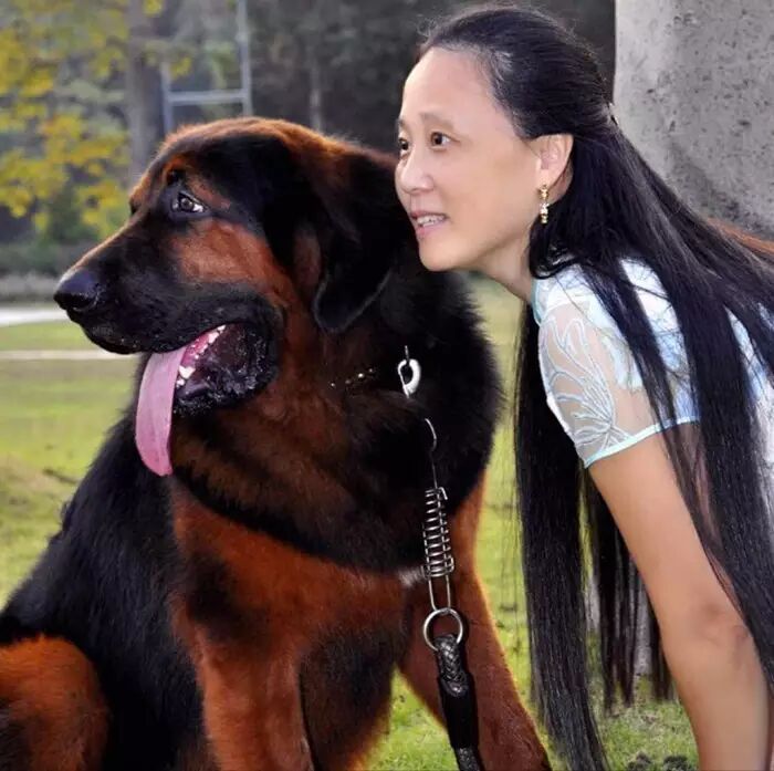 【诗歌朗诵】《送你一抹秋》作者:施维·獒妈/朗诵:姑苏望梅