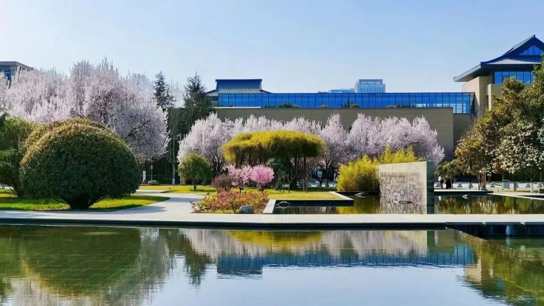 陕西师范大学2024年西安市“中亚五国”专项奖学金招生简章