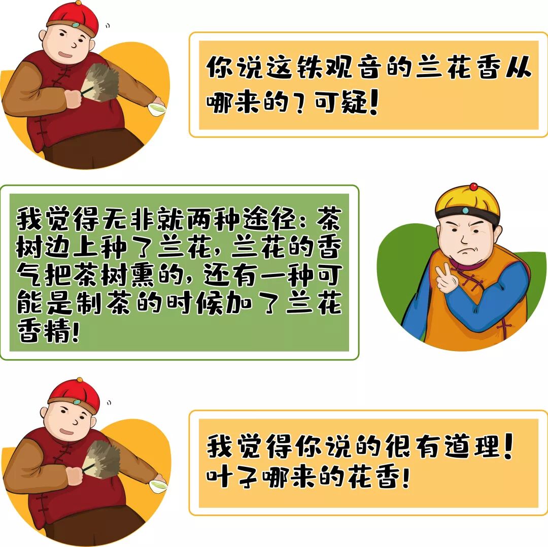 安溪铁观音的兰花香从哪来的？