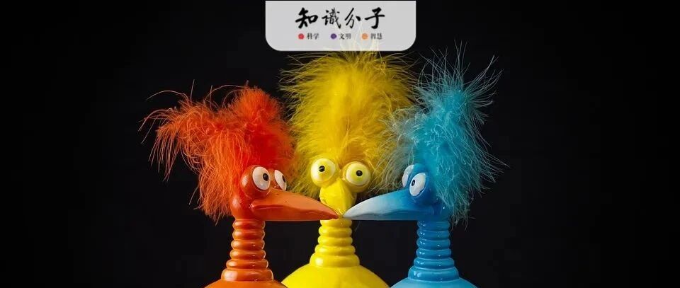 “中科大少年班神童” 的真实身份