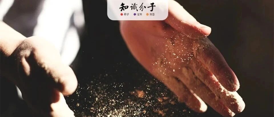 康奋大学系列之六：陶校长的论文造假了？| 商周专栏