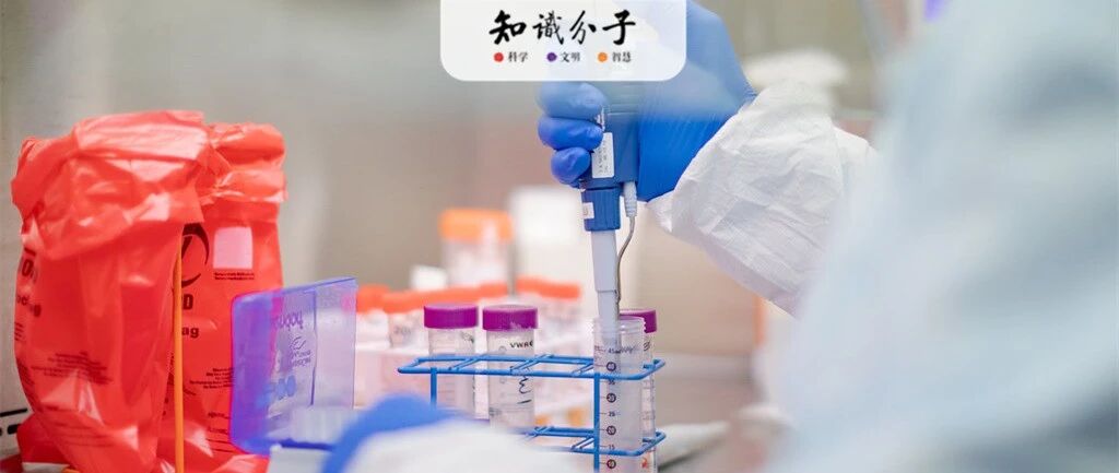 解读：全球首例新冠患者二次感染，意味着什么？