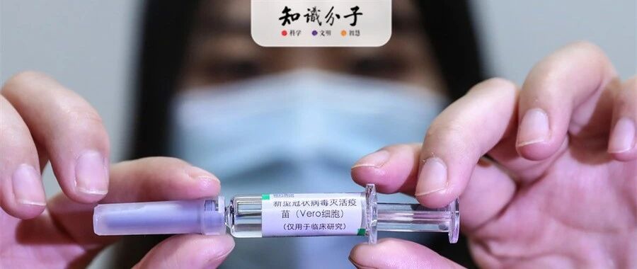 深度 | 新冠疫苗进展迅速，但它产生的抗体能提供长期保护吗？