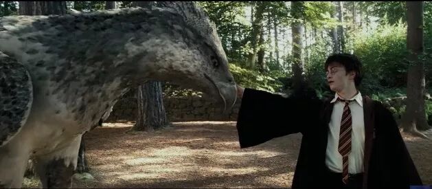 哈利·波特，你怎么看待视觉特效和巫术？| 专访