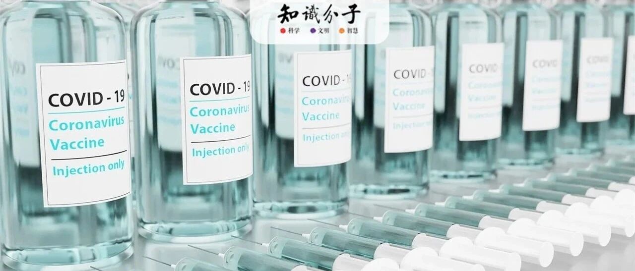 老人、孕妇、备孕期、哺乳期……这些人群能接种新冠疫苗吗？