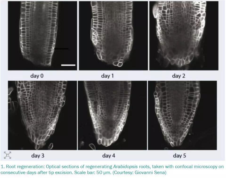 植 根 于物理 Physics World专栏 资讯 知识分子