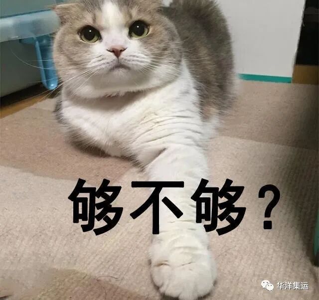 华洋钜惠！免空运运费！ - 3