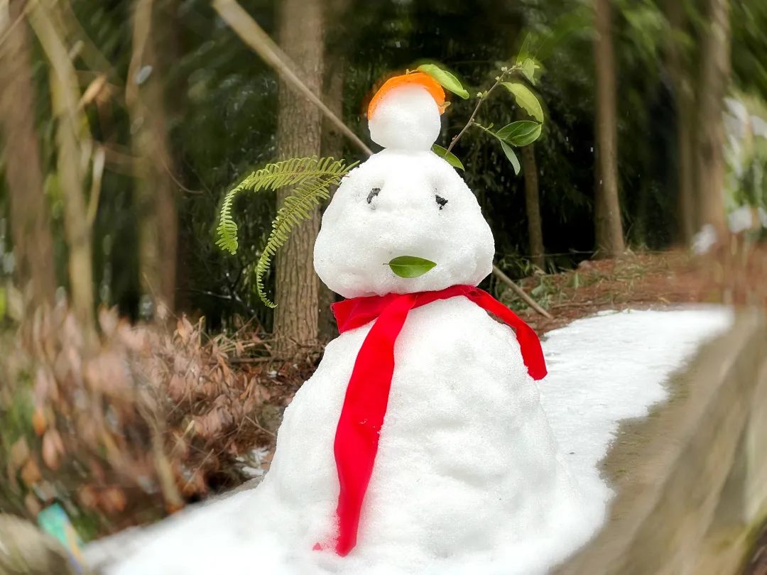 堆雪人,打雪仗當然是必不可少的對於很少見雪的南方人來說銀裝素裹,如