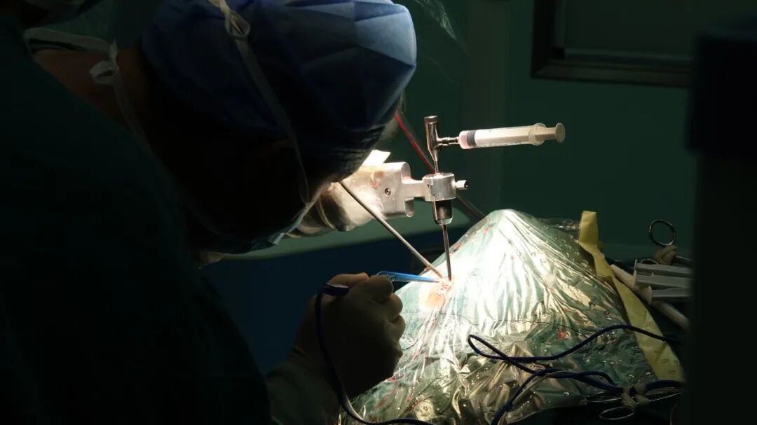 为什么使用注射泵医生，你为什么要把我父亲“绑”起来？_https://www.jmylbn.com_新闻资讯_第10张