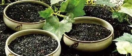 生活中再常见不过的它，3大功效让白癜风的治疗效果翻倍