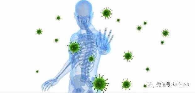 白友必读！人体免疫力是如何一步步丧失的！？