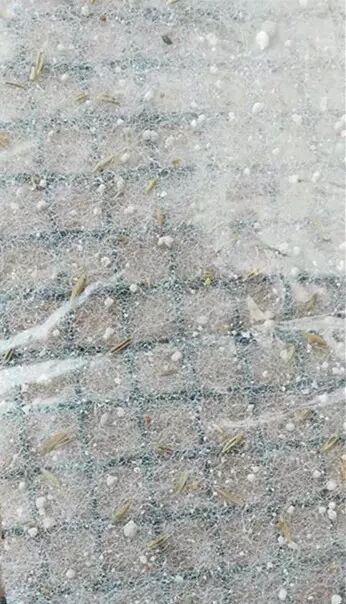 边坡绿化还能这样做？收藏了！的图11