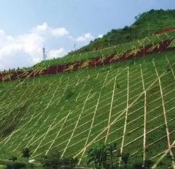 边坡绿化还能这样做？收藏了！的图4