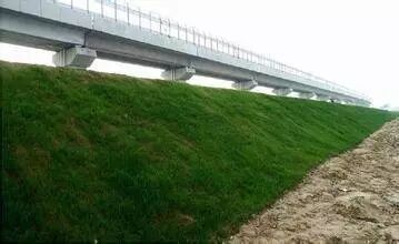 边坡绿化还能这样做？收藏了！的图13
