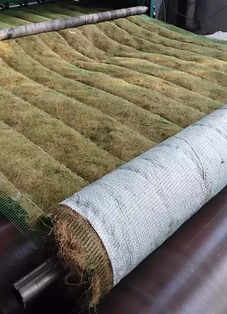 边坡绿化还能这样做？收藏了！的图14