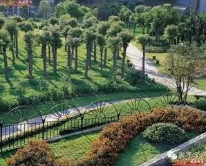 边坡绿化还能这样做？收藏了！的图5