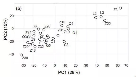 图3. 不同得分茶叶甲醇提取物PCA分析