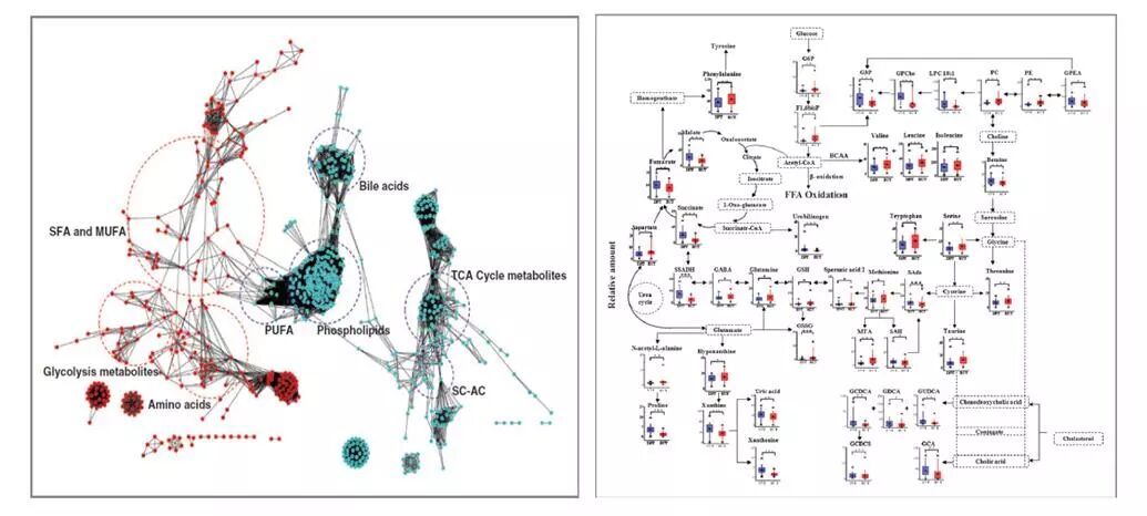 差异物的生信分析