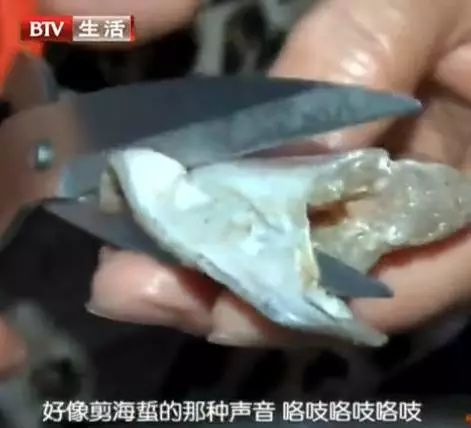 广东常见的这种鱼吃了可能会中毒！其他常见致