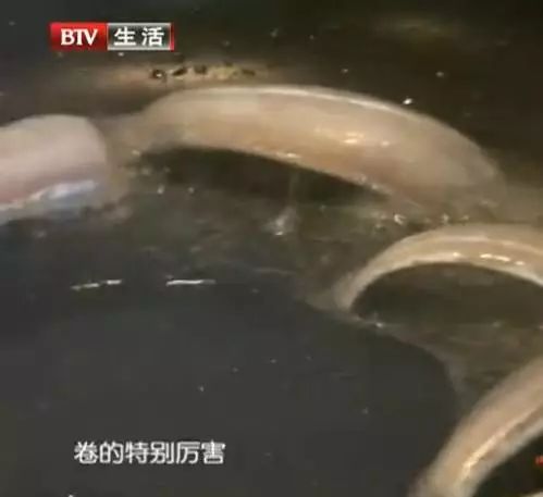 广东常见的这种鱼吃了可能会中毒！其他常见致
