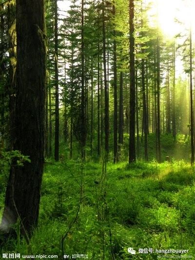 感统失调真的长大了就好了吗？