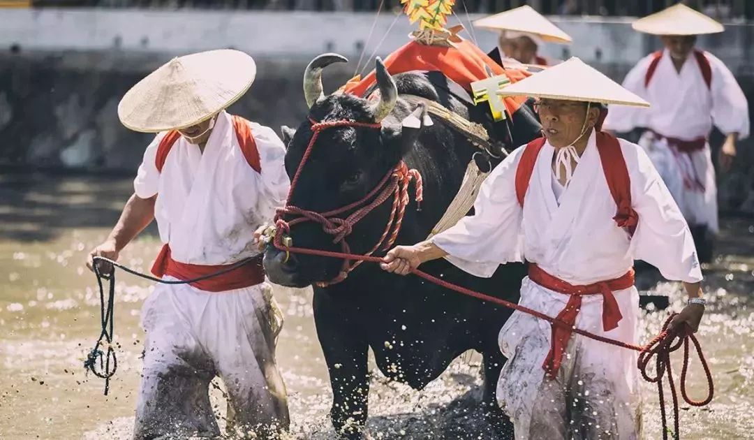 【招募】日本定制 精致小團 旅遊 第6張