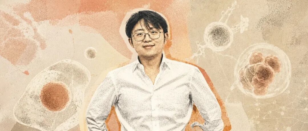 文章封面