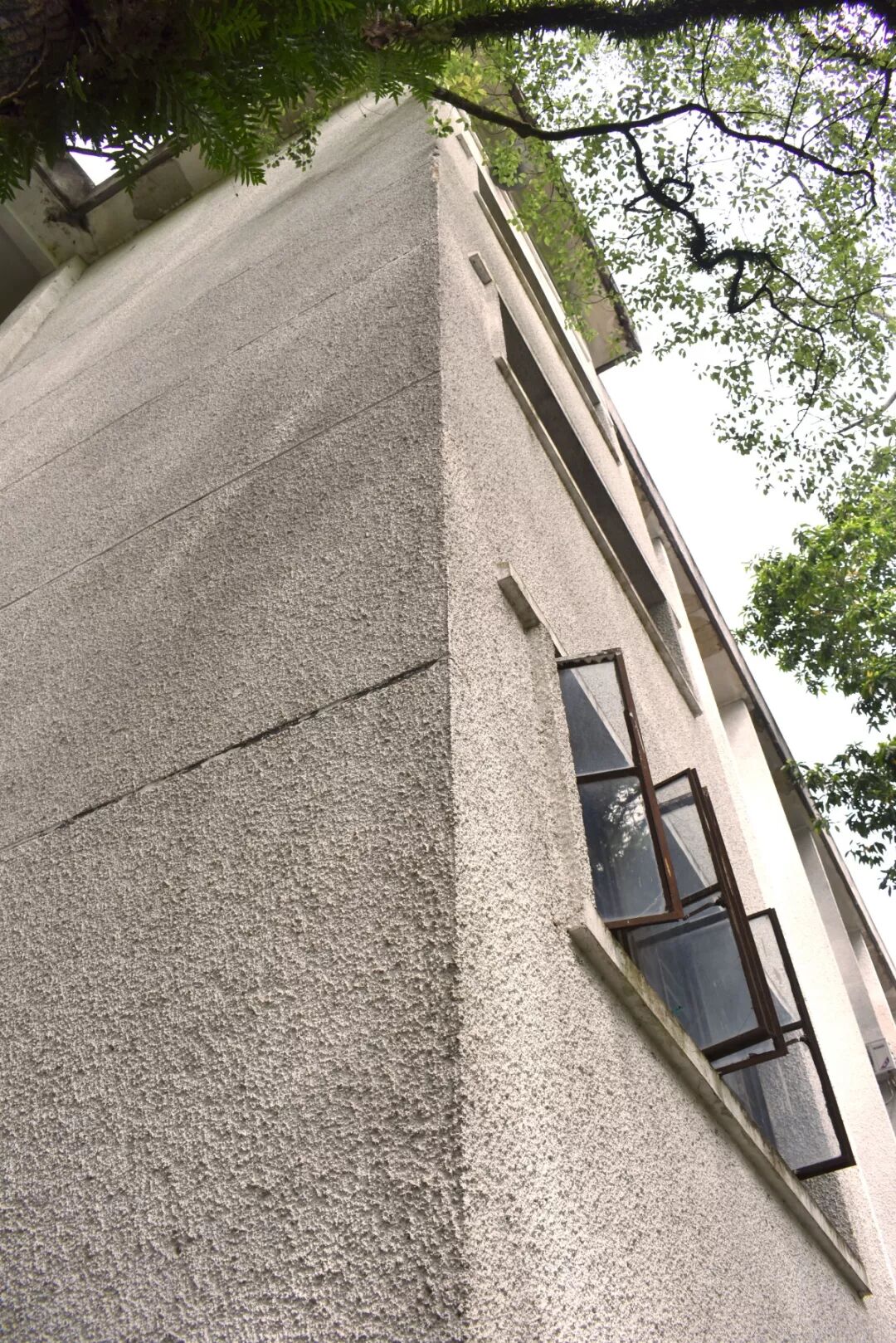 宁大大 自由微信 Freewechat