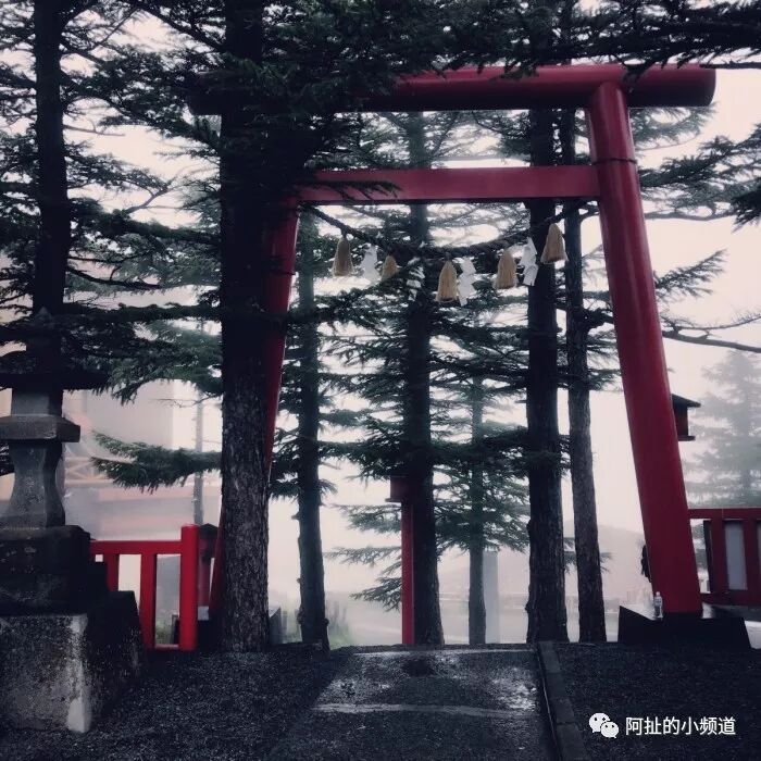 鲛岛事件 阿扯的小频道 微信公众号文章阅读 Wemp