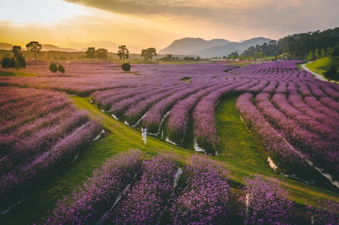 腾冲雅居乐栖花岭图片