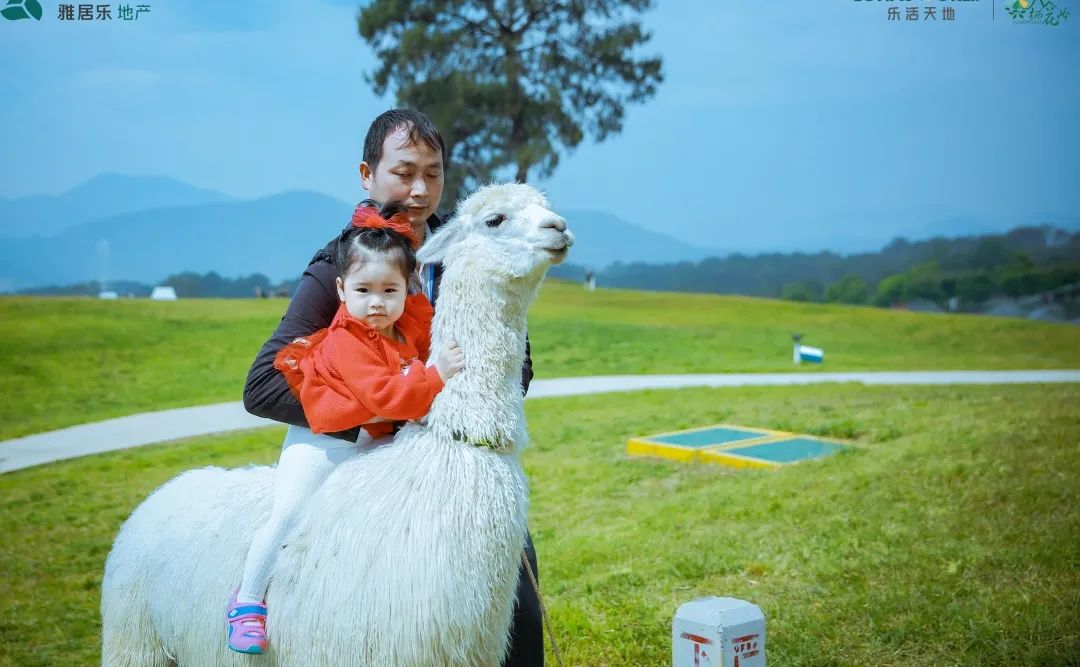 春节腾冲旅游攻略