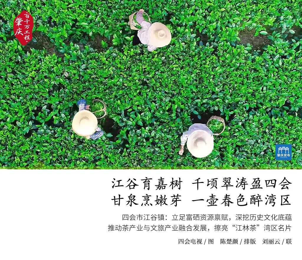 微信图片_20260512165440_3289_10.jpg