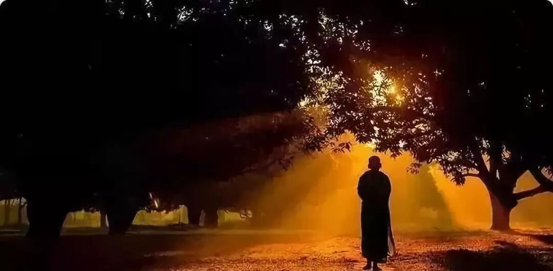 祸害千年的“中国式聪明”，正在毁掉下一代！（组图） - 4