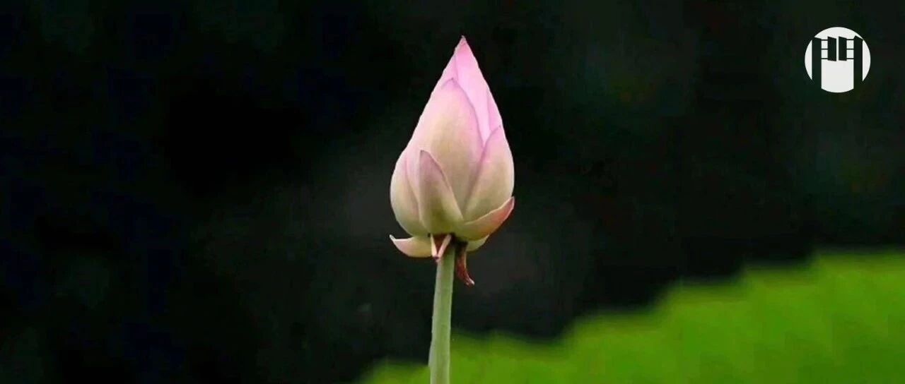 看了自己一年写的标题 , 我自闭了